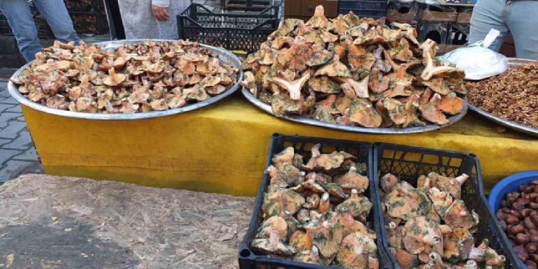 Yağmurun bereketi resmen fışkırdı! Ormanlar doldu, tezgahlar süslendi: 400’den 100 TL’ye düşen fiyat güldürdü 5